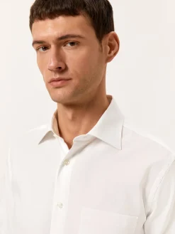 New Regular Fit Formal Oxford Shirt in 100% Cotton Camisas Clássicas|Camisas Clássicas