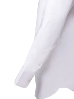 New Regular Fit Formal Oxford Shirt in 100% Cotton Camisas Clássicas|Camisas Clássicas