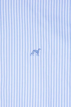Clearance Regular Fit Striped Oxford Shirt in 100% BCI Cotton Camisas Casuais|Camisas Casuais