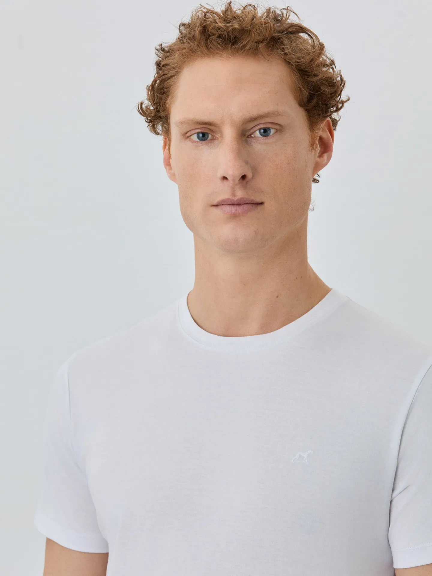 Online Slim Fit T-shirt With Round Neck In 100% Cotton T-Shirts